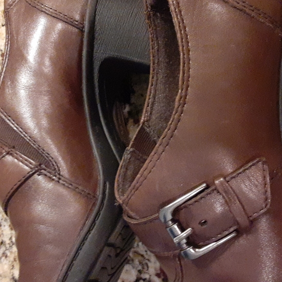 Earth Origins by Earth - Picture 10 of 10